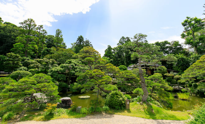A variety of room types