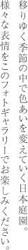 移りゆく季節の中で色あいを変えていく日本庭園。様々な表情をこのフォトギャラリーでお楽しみください。