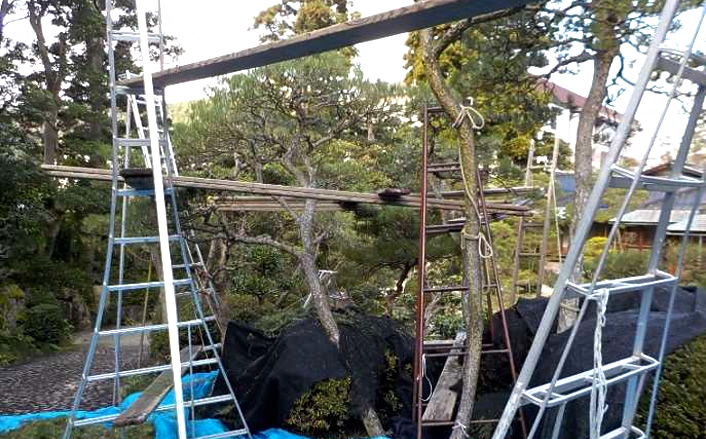 庭園イメージ