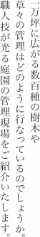 移りゆく季節の中で色あいを変えていく日本庭園。様々な表情をこのフォトギャラリーでお楽しみください。