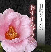 目的シーン別　おすすめプラン