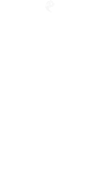 季節の厳選食材　献立一例