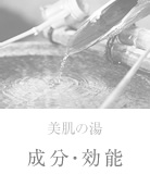 美肌の湯　成分・効能