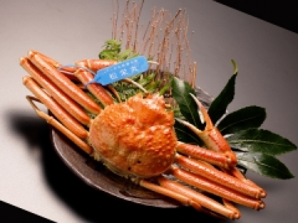 プランイメージ