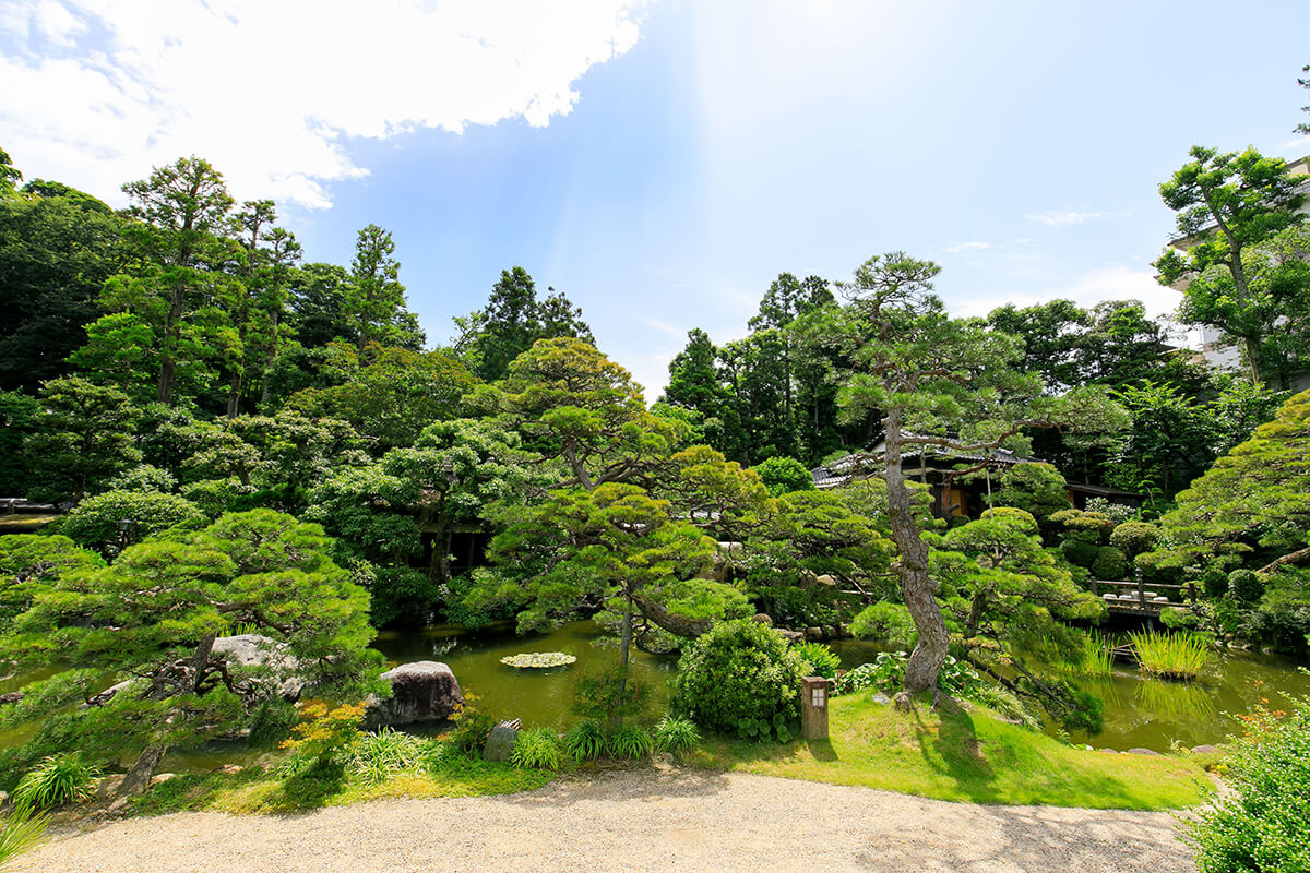 広さおよそ⼀万坪の日本庭園