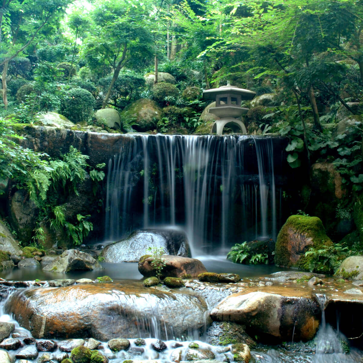 庭園から見える滝