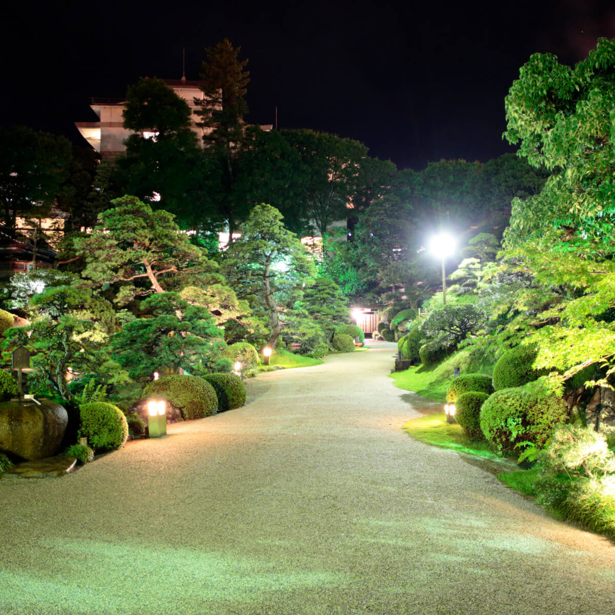ライトアップされた⽇本庭園